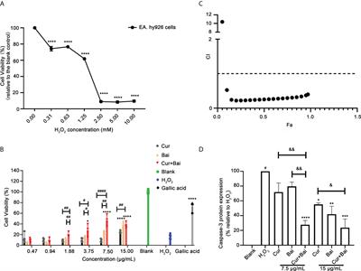 Protective effect of the curcumin-baicalein combination against macrovascular changes in diabetic angiopathy
